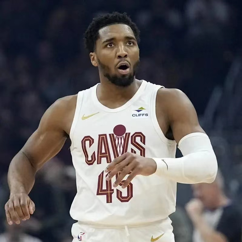 骑士击败猛龙，挽回颜面的简单介绍