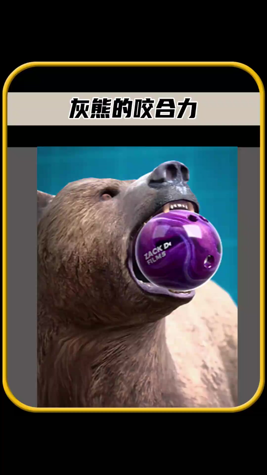 灰熊取得六连胜,胜灰熊 灰熊取得六连胜,胜灰熊