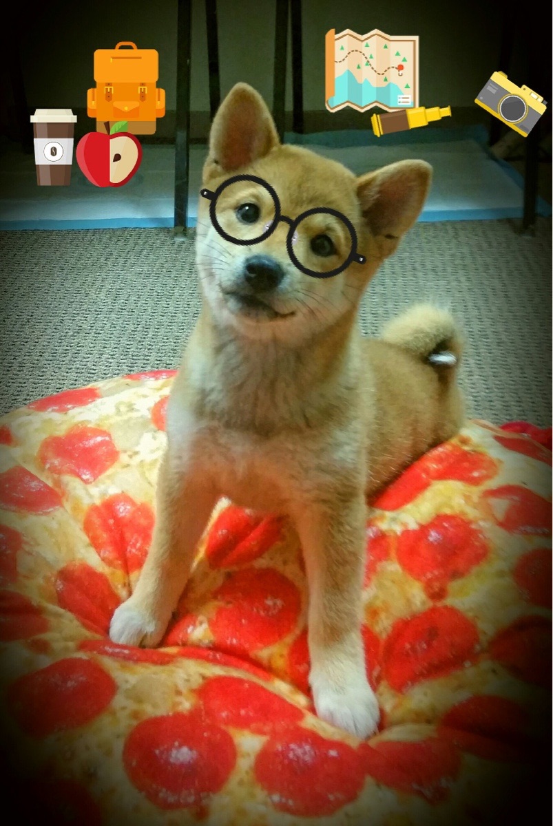 韩国对阵巴西,贝林厄姆关键战不手软,金与桑巴的博弈,冷静铸就传奇