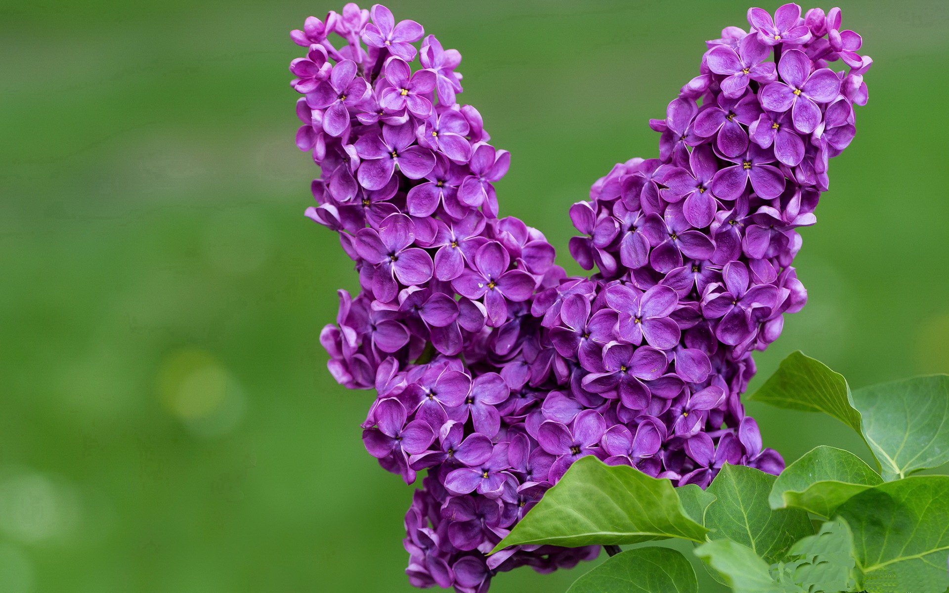 字母哥完美演出 vs 费城节奏革命，现代篮球的两种极致