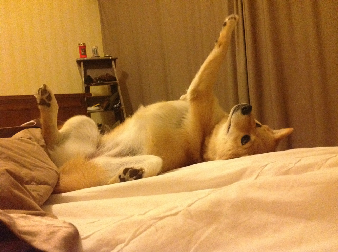 巴雷拉爆发之夜，摩洛哥巴黎硬仗铸就历史