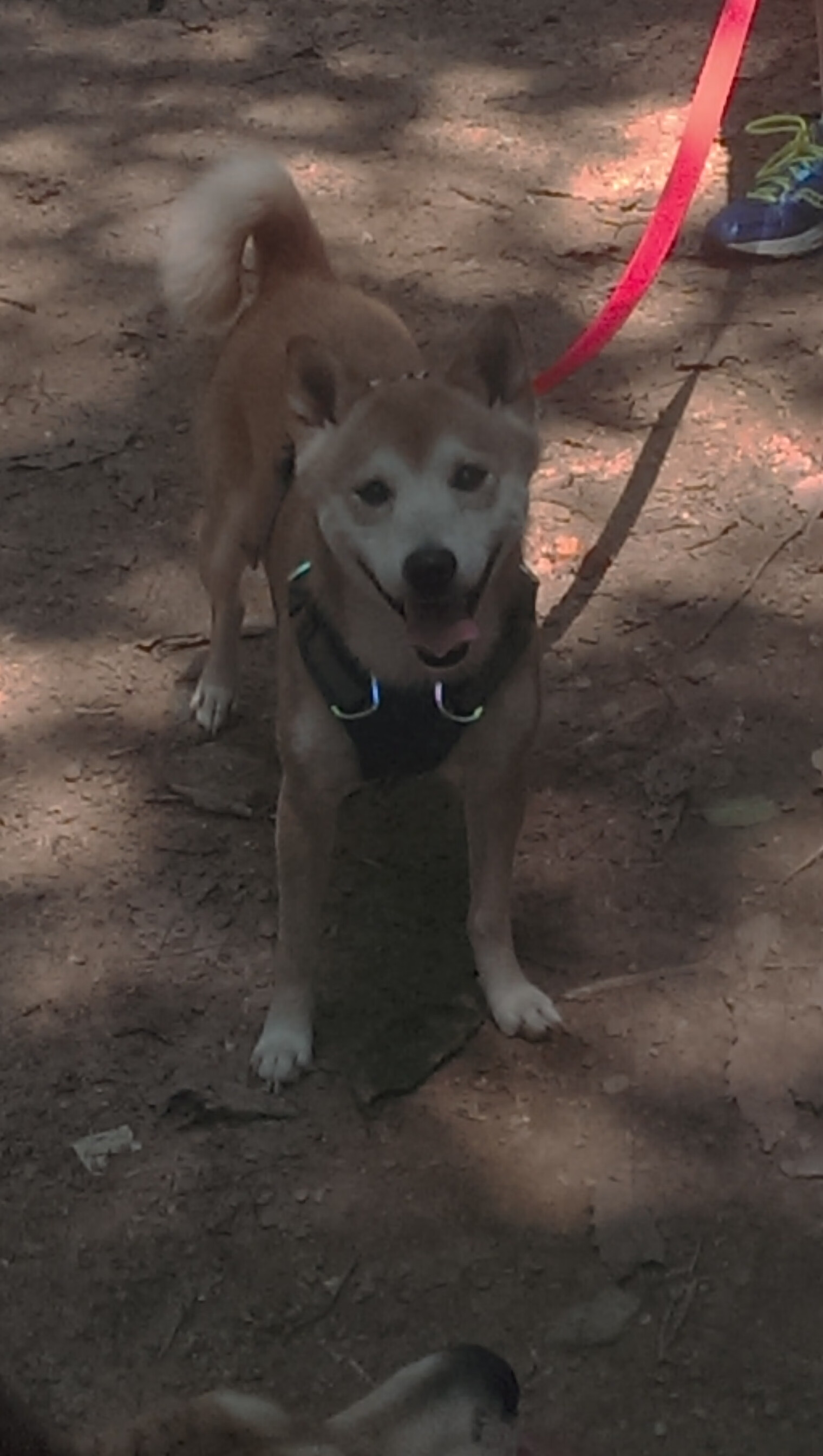 毕尔巴鄂轻取克罗地亚,加维大场面先生实至名归