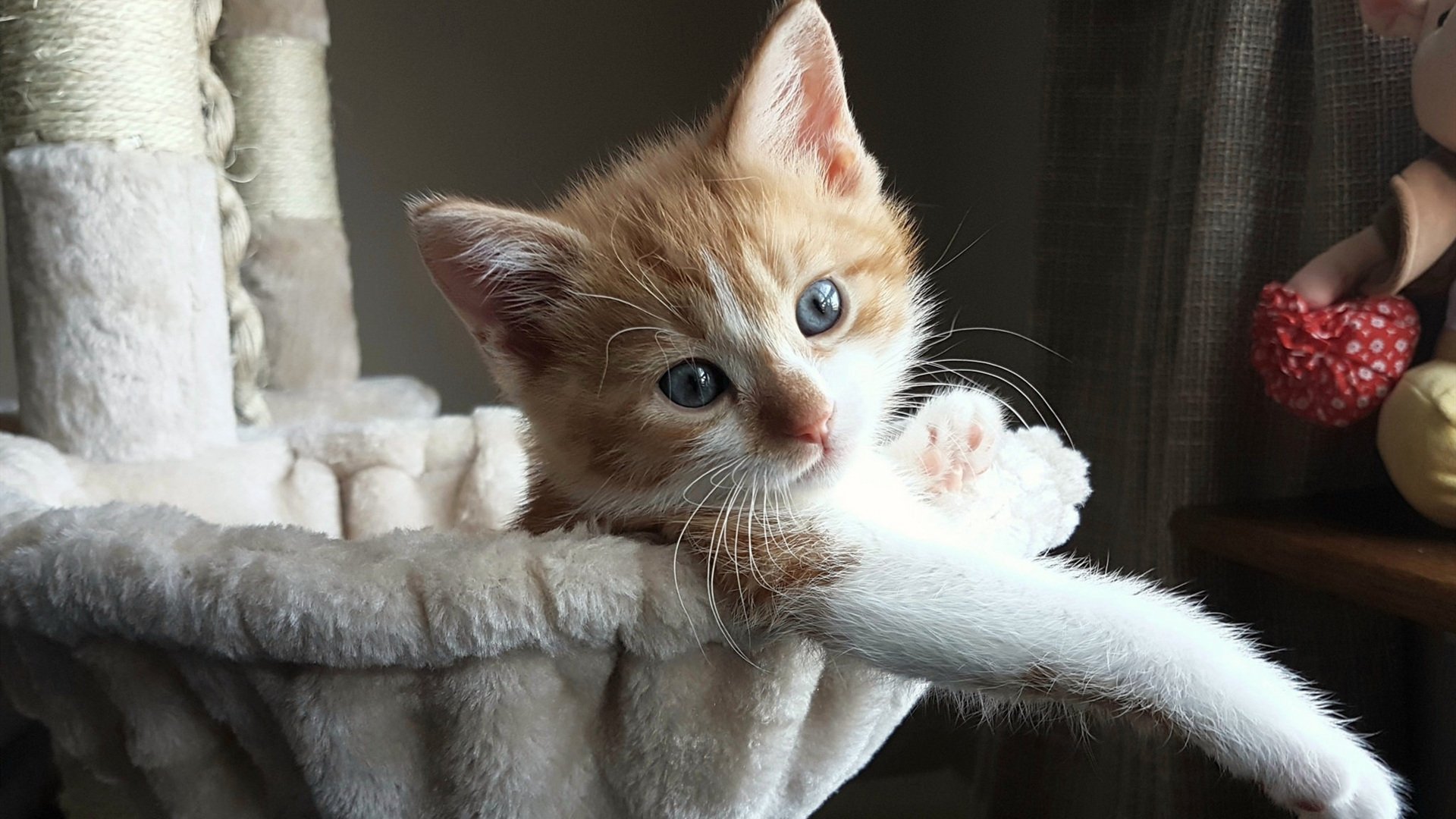 奥运周期关键战启示录,当切尔西力克巴萨诠释体育终极较量