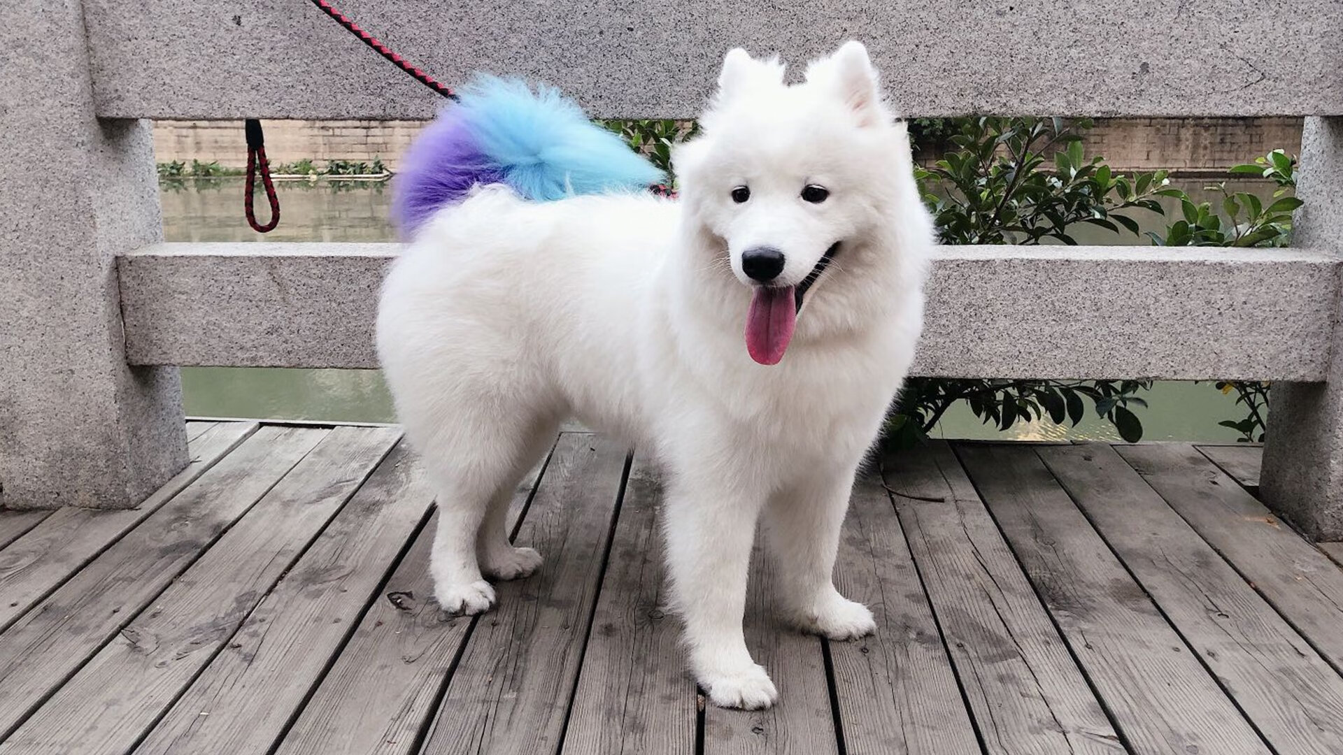 关键先生苏亚雷斯！中国足球破冰伊朗，用血性与智慧赢得尊严之战