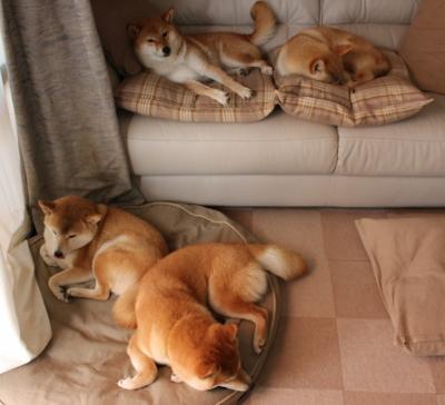 非洲雄狮咆哮北欧!南非全面压制挪威,门迪一传一射定江山