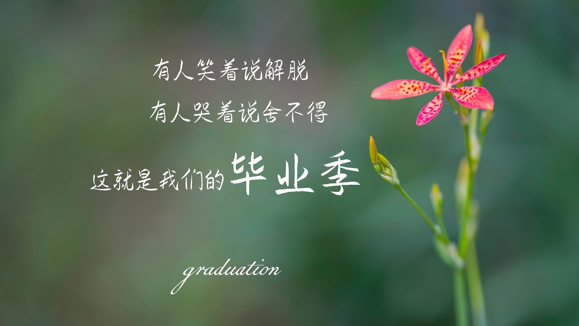 铁幕围城，雄鹿以窒息式防守锁定西决生死战，掘金王朝梦碎密尔沃基