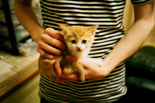 绝境铸就英雄，蒂亚戈关键节点连续得分，国际米兰力克乌克兰劲敌