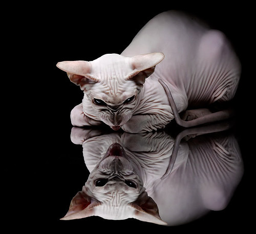 绿茵场与木地板，凡人成神之夜的平行叙事