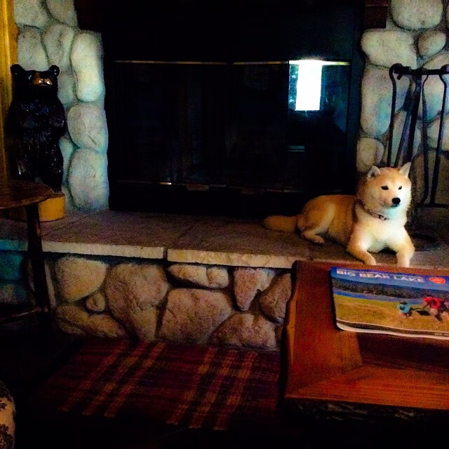 桑巴与红蓝的哲学碰撞,奥利维耶以血肉之躯,刺破战术的完美圆环