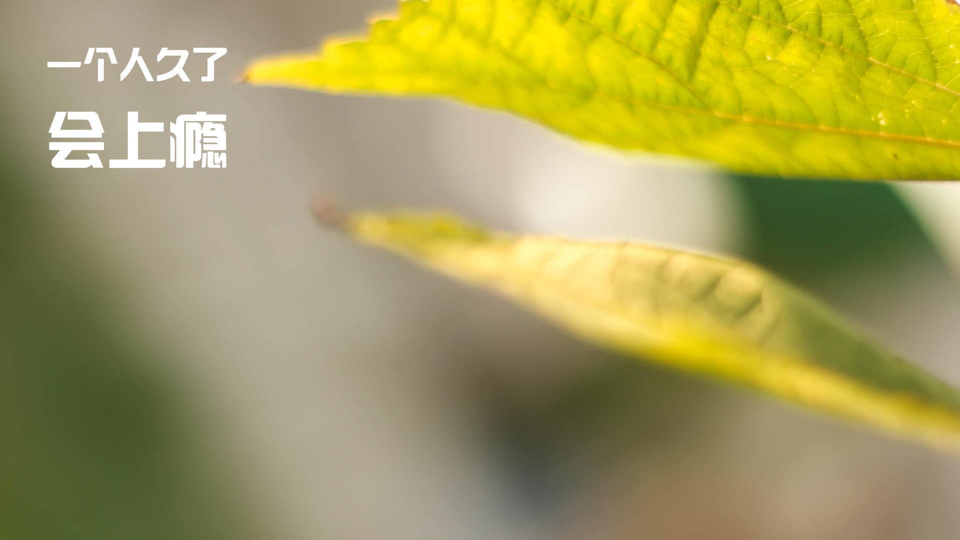 皇家社会血拼里昂 阿圭罗逆境救主成关键先生