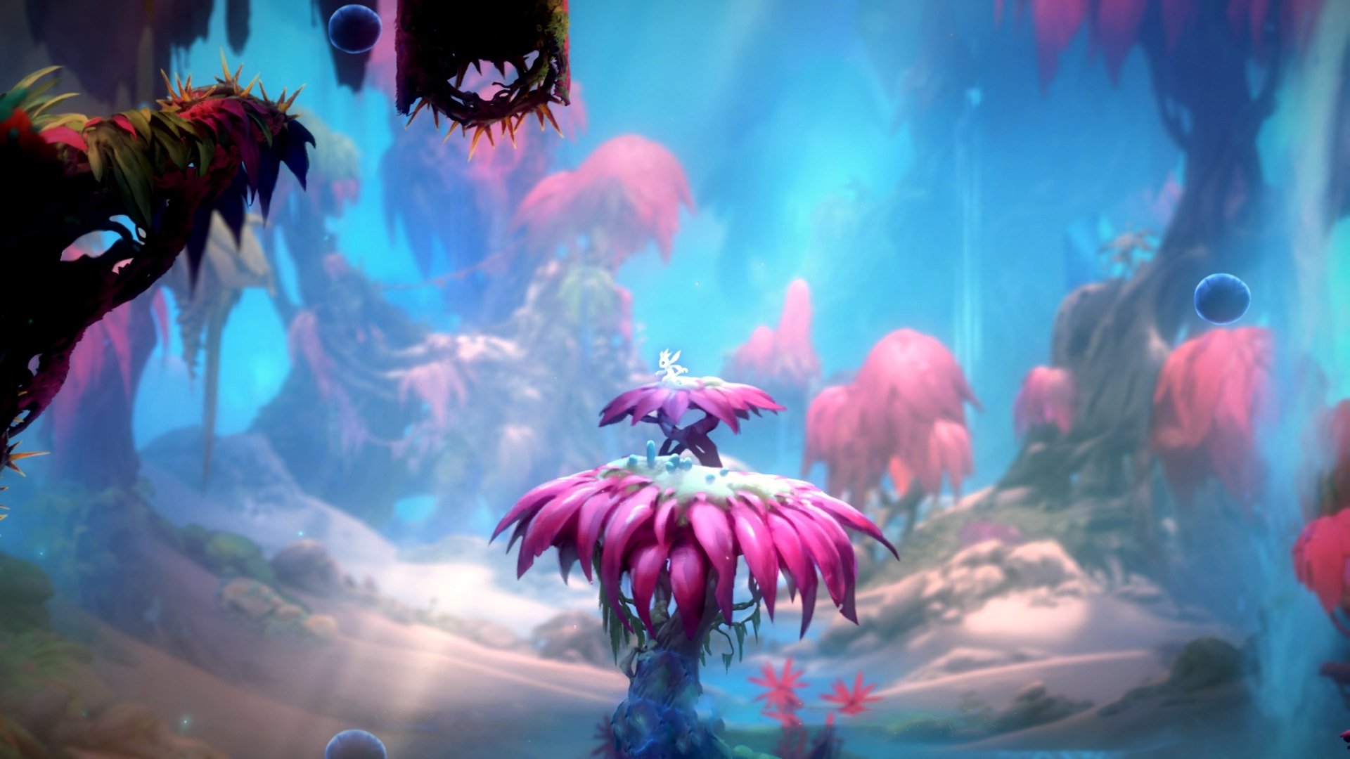 德甲争冠焦点战，韩国新星导演多特蒙德惊天翻盘