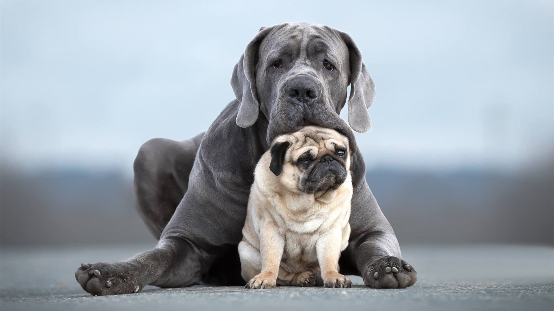 德甲争冠夜，C罗末节接管比赛，谱写传奇篇章