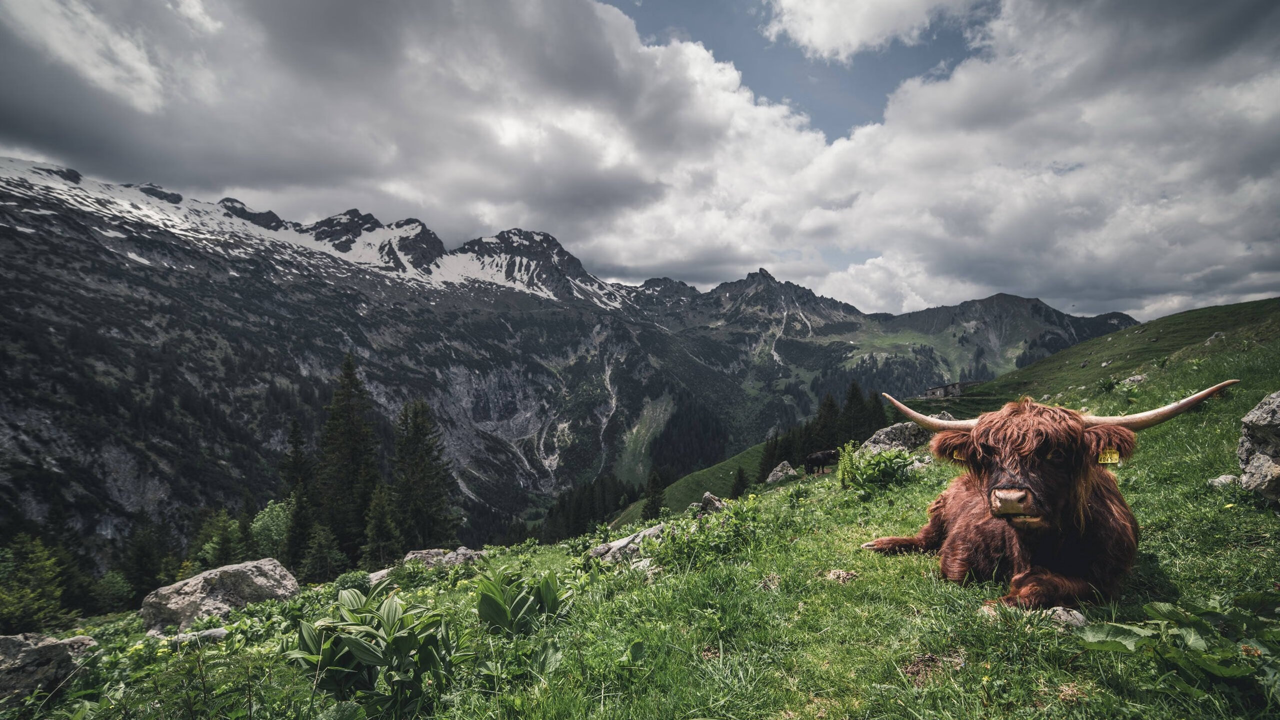 无声处起惊雷，布伦森与雷霆队的末节革命